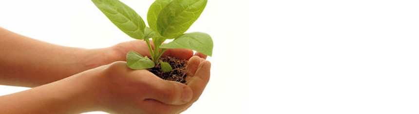 responsabilité sociale de l'entreprise en franchise